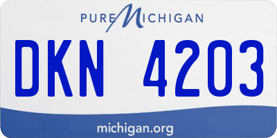 MI license plate DKN4203