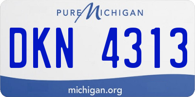 MI license plate DKN4313