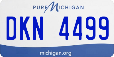 MI license plate DKN4499