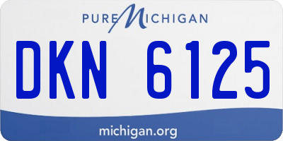 MI license plate DKN6125