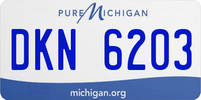 MI license plate DKN6203
