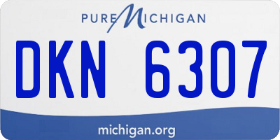 MI license plate DKN6307