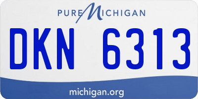 MI license plate DKN6313