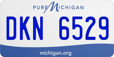 MI license plate DKN6529