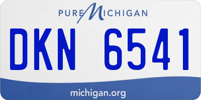 MI license plate DKN6541