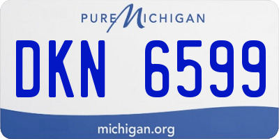 MI license plate DKN6599