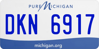 MI license plate DKN6917