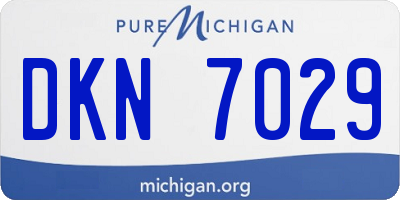 MI license plate DKN7029