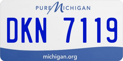 MI license plate DKN7119