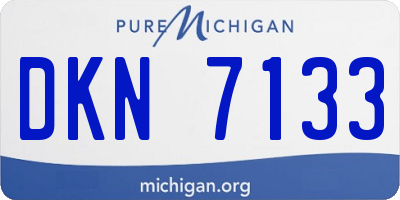 MI license plate DKN7133