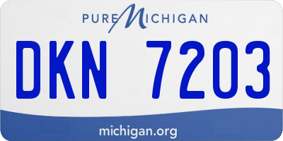 MI license plate DKN7203