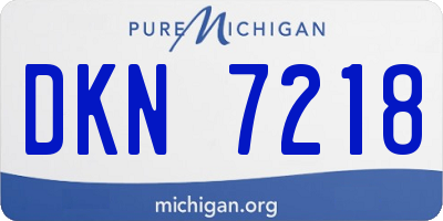 MI license plate DKN7218