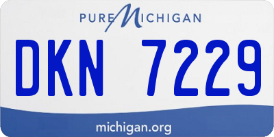 MI license plate DKN7229