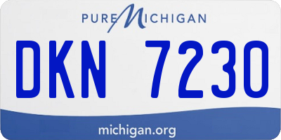 MI license plate DKN7230