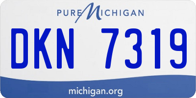 MI license plate DKN7319