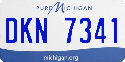 MI license plate DKN7341