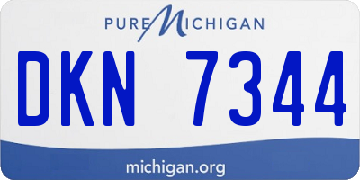 MI license plate DKN7344