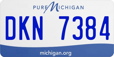 MI license plate DKN7384