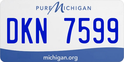 MI license plate DKN7599