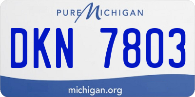 MI license plate DKN7803