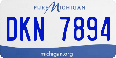 MI license plate DKN7894
