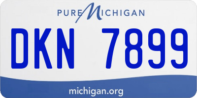 MI license plate DKN7899