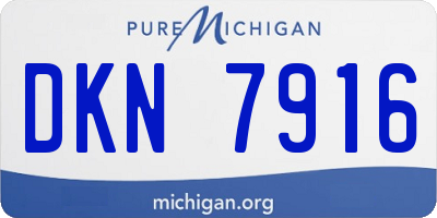 MI license plate DKN7916