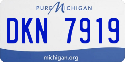 MI license plate DKN7919