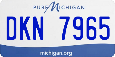 MI license plate DKN7965