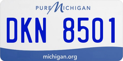 MI license plate DKN8501