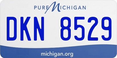 MI license plate DKN8529