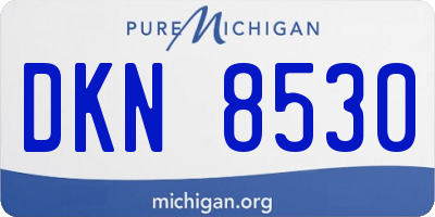 MI license plate DKN8530