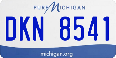 MI license plate DKN8541