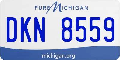 MI license plate DKN8559