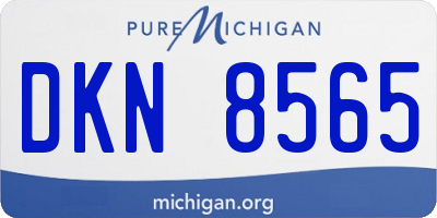 MI license plate DKN8565