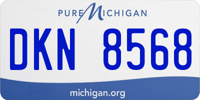 MI license plate DKN8568