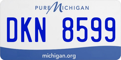 MI license plate DKN8599