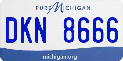 MI license plate DKN8666