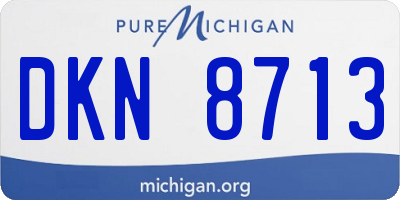 MI license plate DKN8713