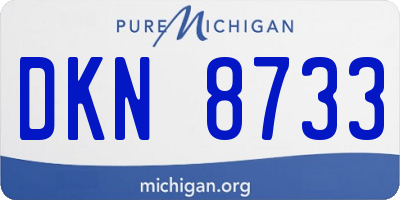MI license plate DKN8733