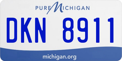 MI license plate DKN8911