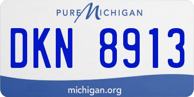 MI license plate DKN8913
