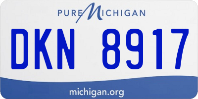 MI license plate DKN8917
