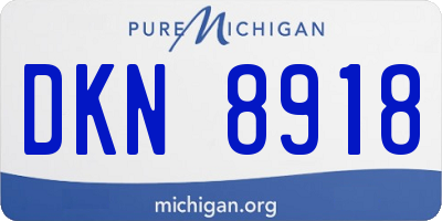 MI license plate DKN8918