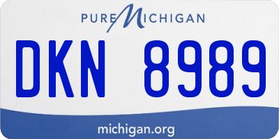 MI license plate DKN8989