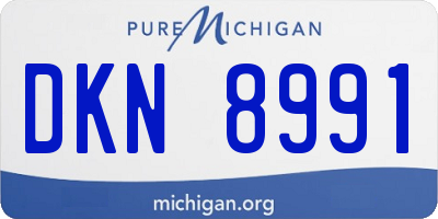 MI license plate DKN8991