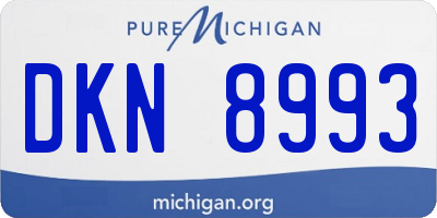 MI license plate DKN8993
