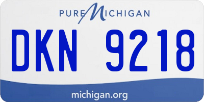 MI license plate DKN9218