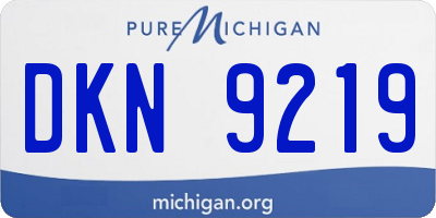 MI license plate DKN9219