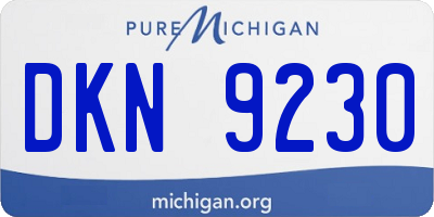 MI license plate DKN9230